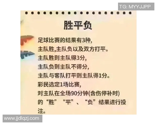 足球手机版90分与即时比分的全面对比分析与使用体验分享